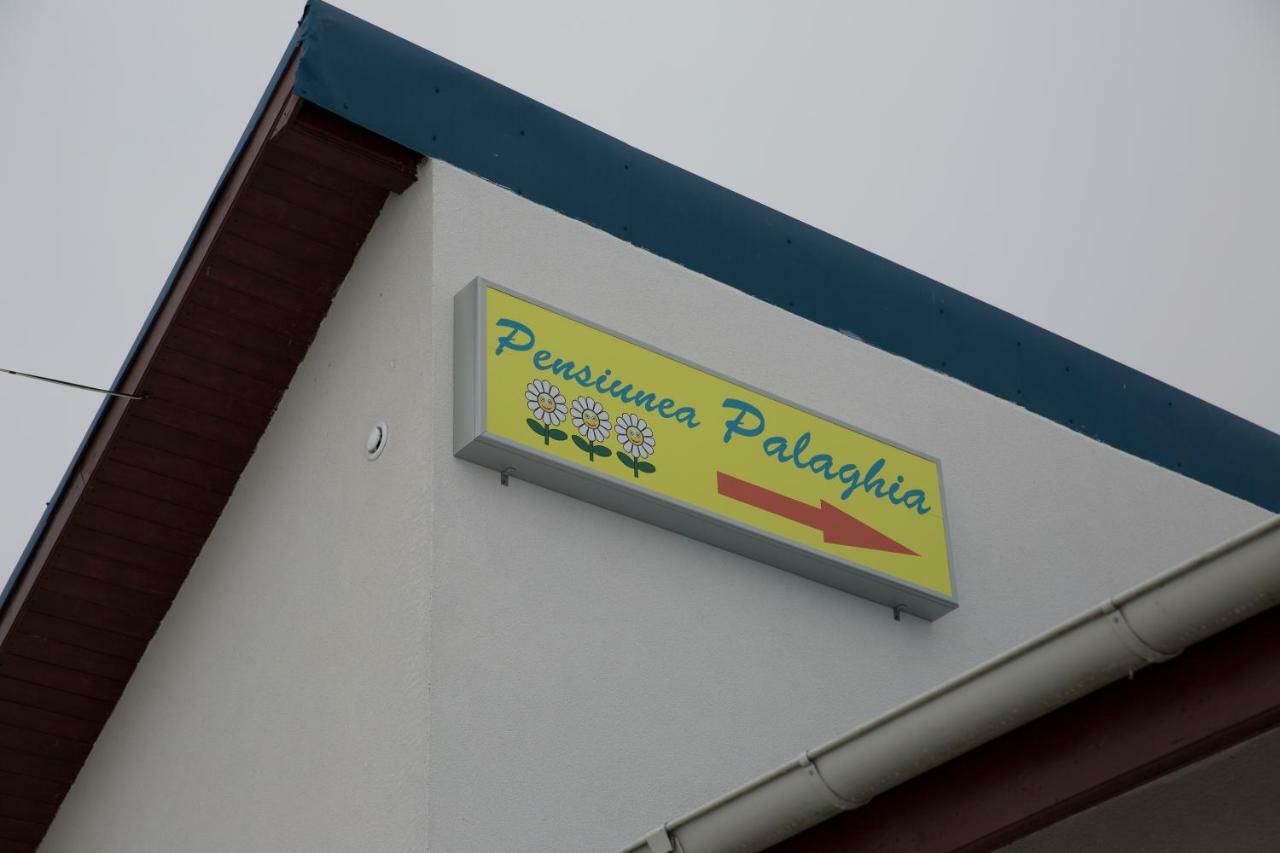 יורילובקה Pensiunea Palaghia מראה חיצוני תמונה