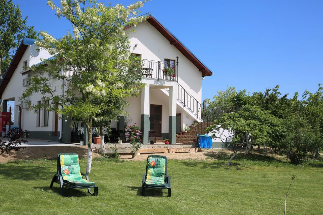 יורילובקה Pensiunea Palaghia מראה חיצוני תמונה